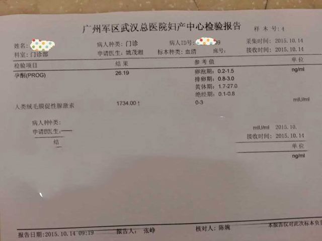 广州代妈