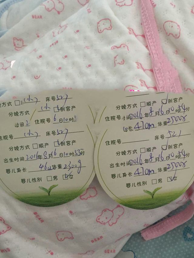 广州代妈