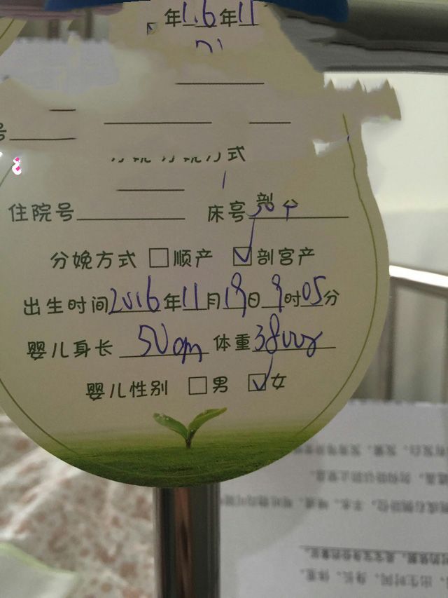 广州代妈