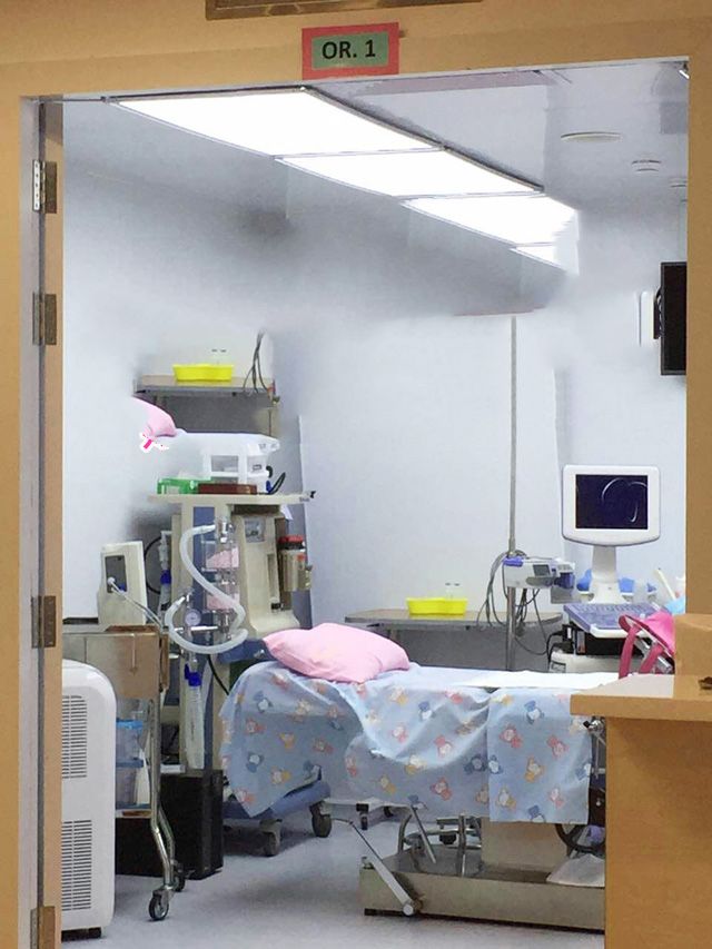 广州代妈