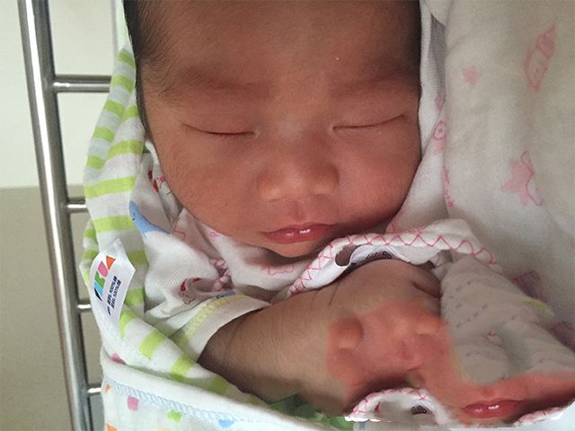 广州代妈