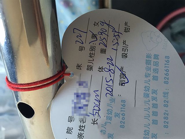 广州代妈